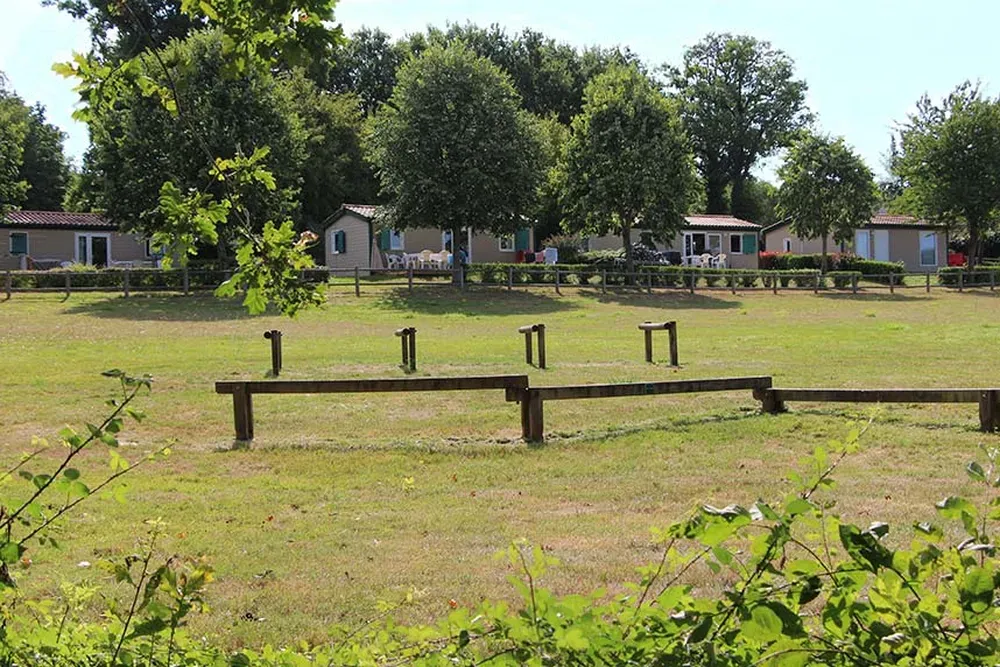 Les Ouches du Jaunay — photo 5